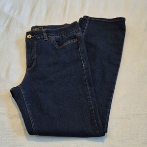 Lois Denim Georgia style size size 32 super stretch tummy panel VGUC